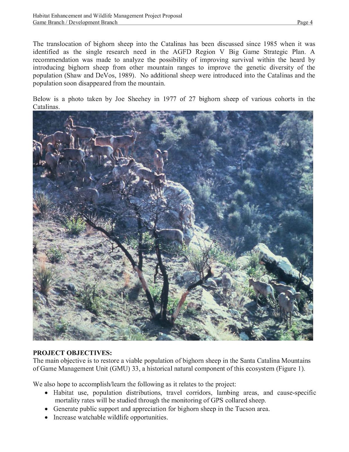 2011 Bighorn Sheep Reintroduction Document - Page 4