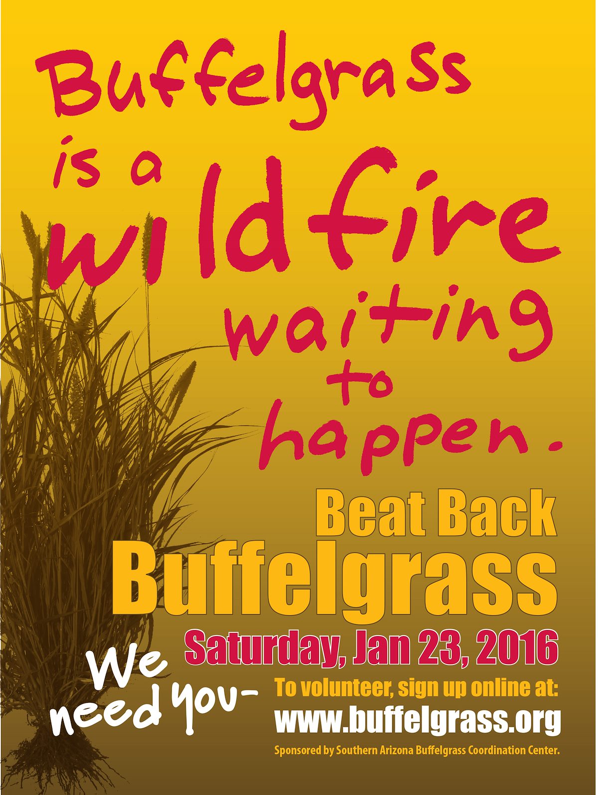 Beat Back Buffelgrass Flyer 2016
