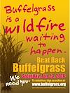 Beat Back Buffelgrass Flyer 2016