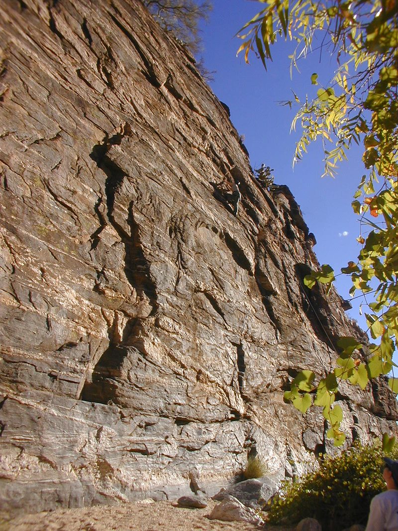 2001 Fall Alison Climbing at Rivendale