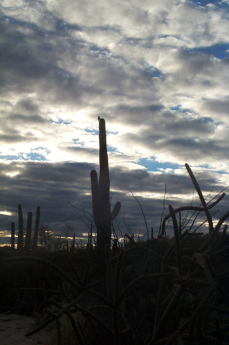 2004 January Sunset from the Pontatoc Ridge Trail