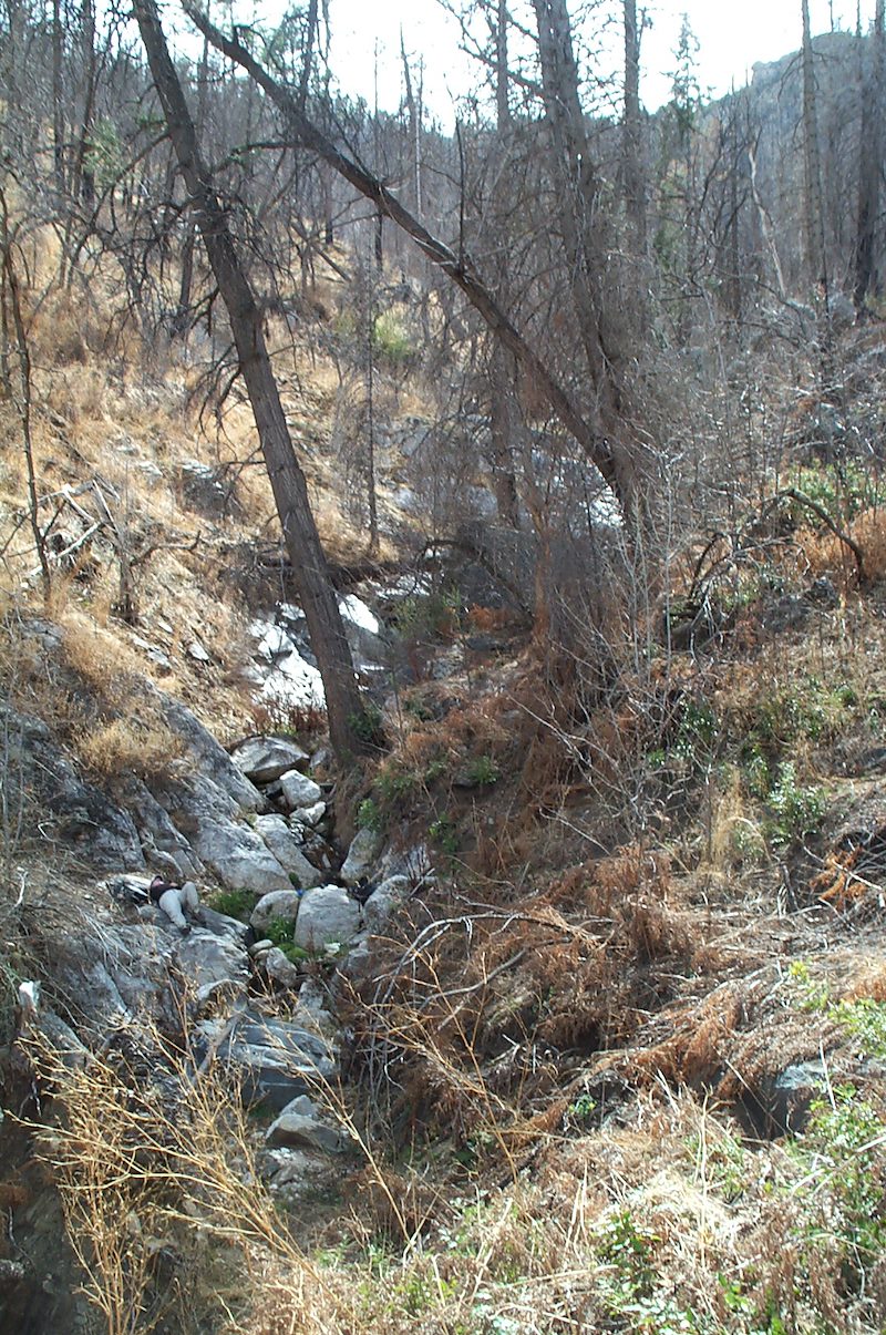 2006 April Alder Canyon