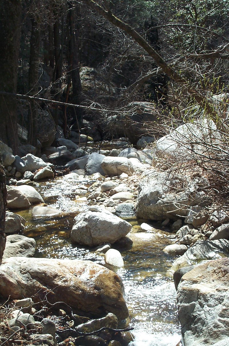 2006 April Sabino Canyon - Box Camp Junction