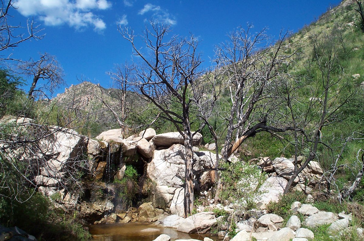 2006 August Pool in Bug Springs Canyon