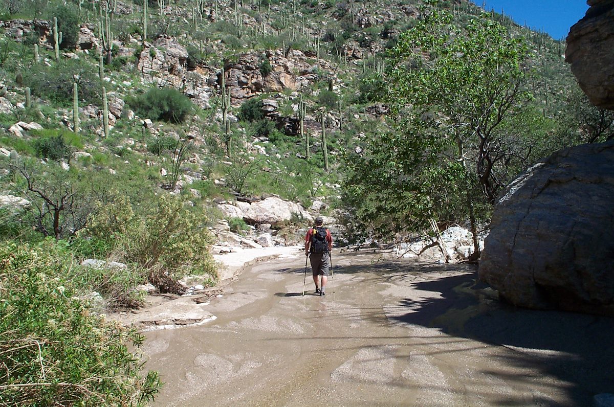 2006 September Charles in Molino Canyon