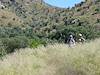 2006 September Overgrown Trails heading down to Sabino Canyon