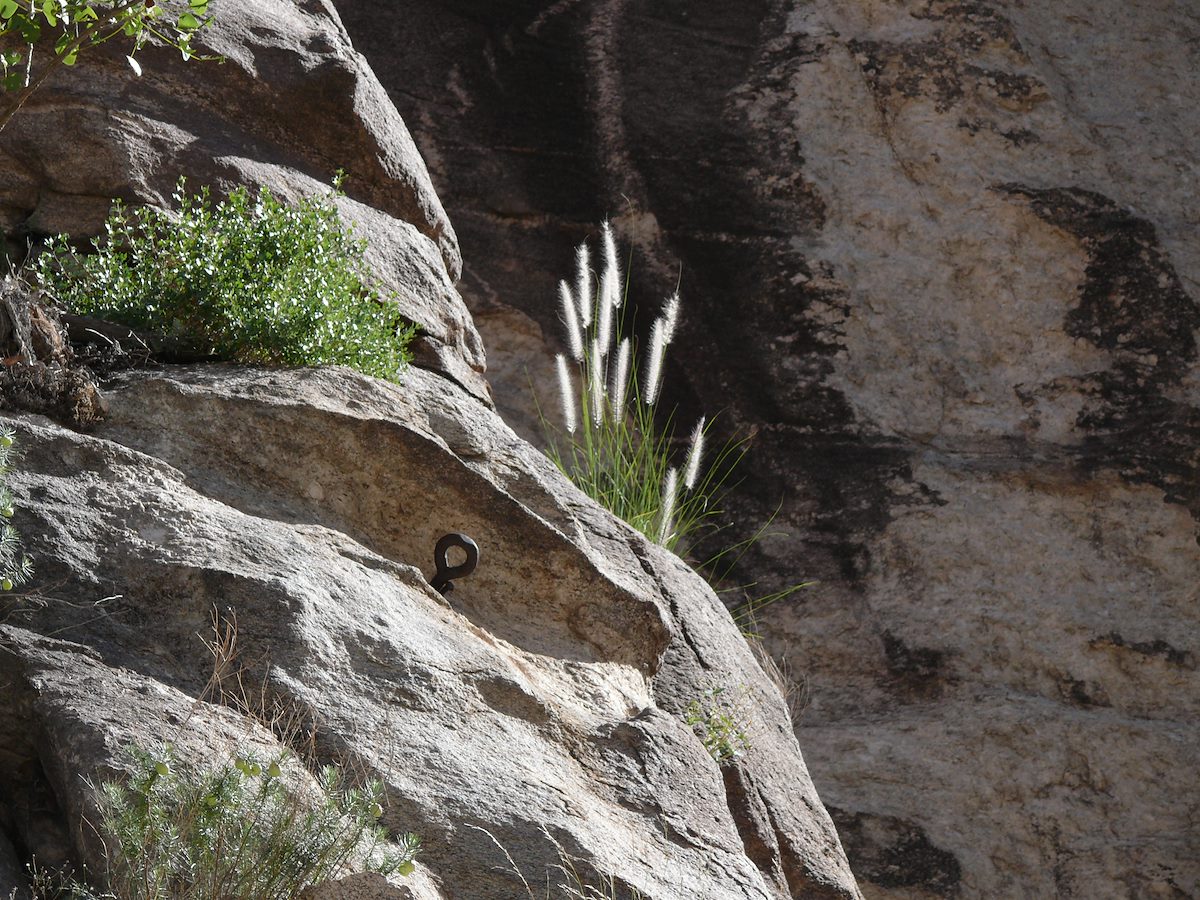 2006 September Sabino Canyon Eyebolt