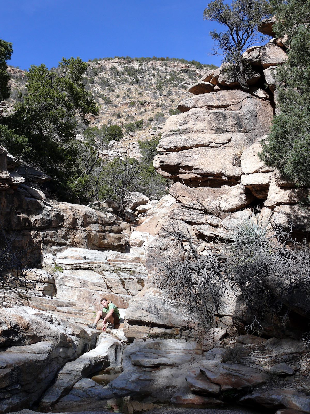 2007 February DB West Fork Molino