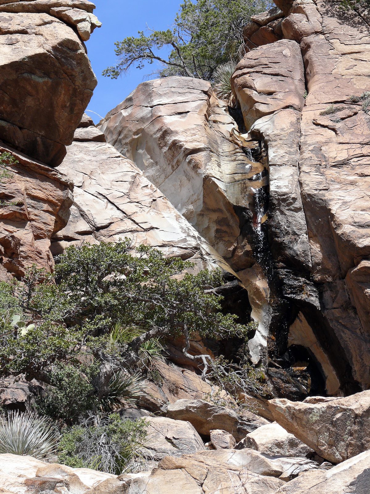 2007 February West Fork of Molino Waterfall