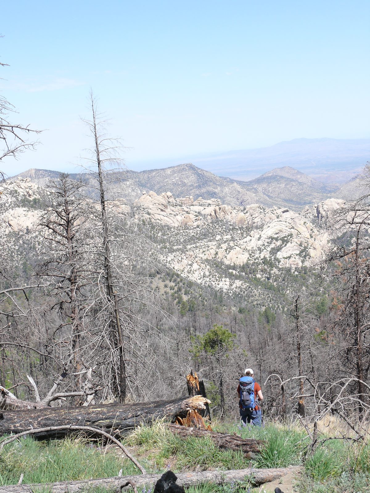 2007 May Alison on the Red Ridge Trail