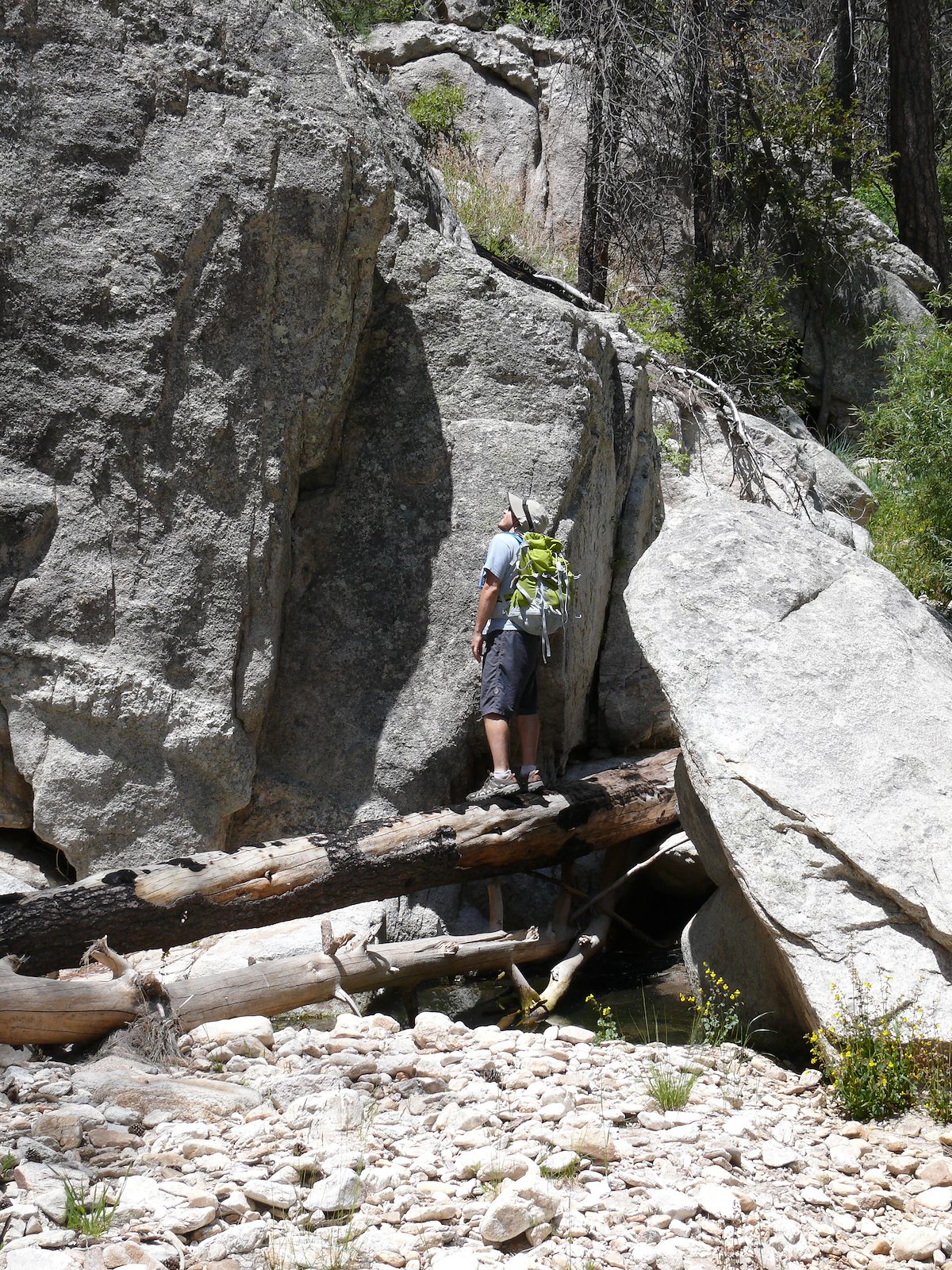 2007 May Rocky Cliffs and Fallen Trees in Palisade Canyon