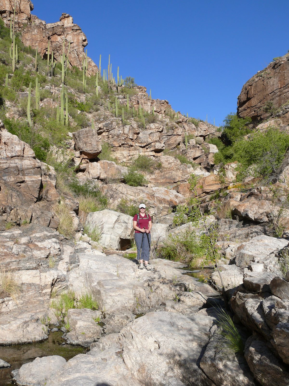 2007 October Alison in Agua Caliente Canyon