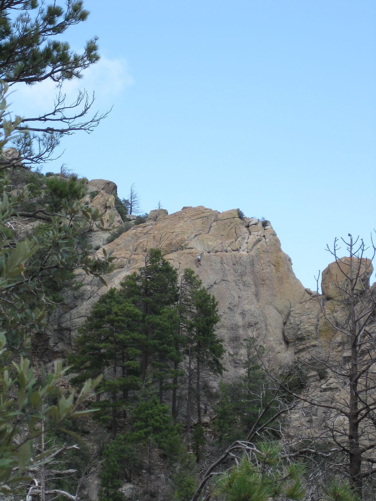 2008 August Jenny climbing at Ridgeline