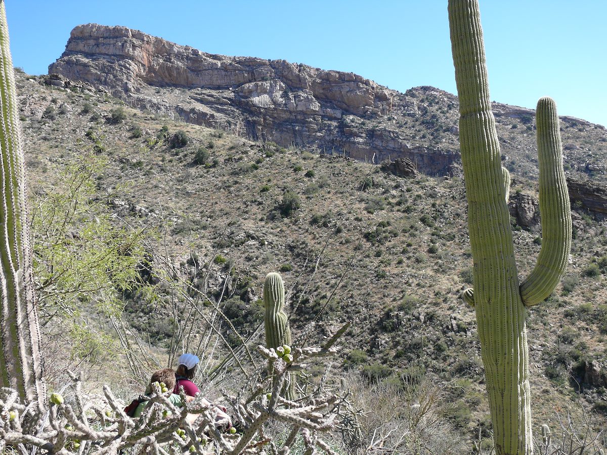 2008 February Thumb Canyon Looking Towards Pontatoc