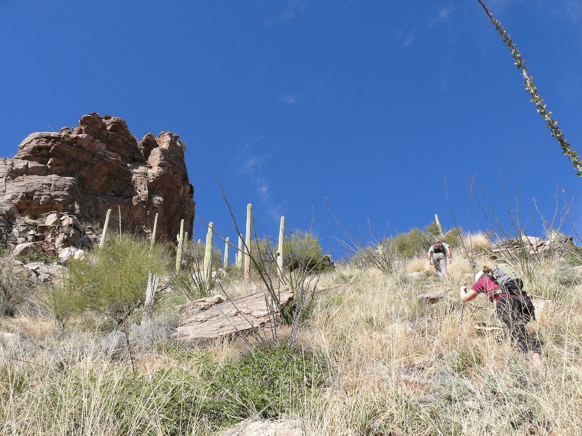 2008 February Thumb Canyon Near Ridge
