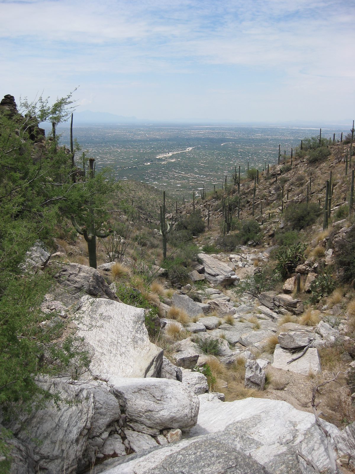 2008 July Looking Down Canyon