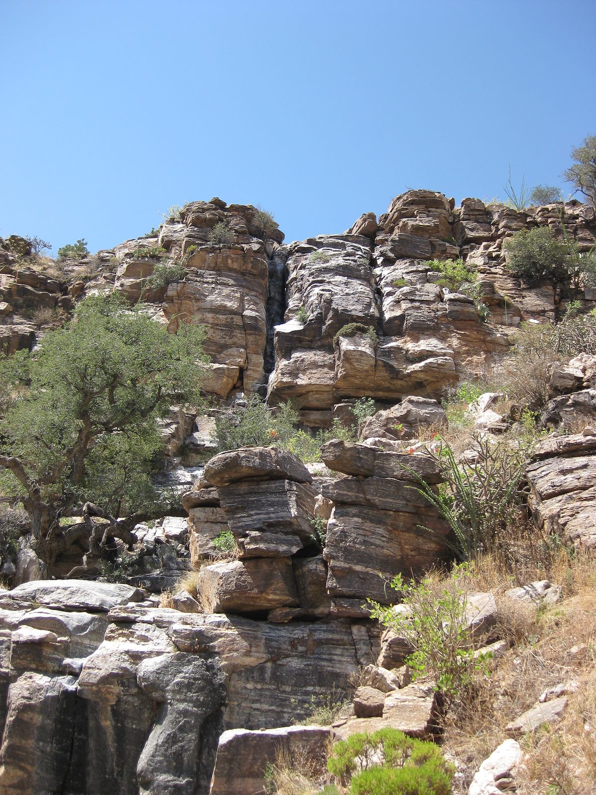 2008 July Upper Cliff Band