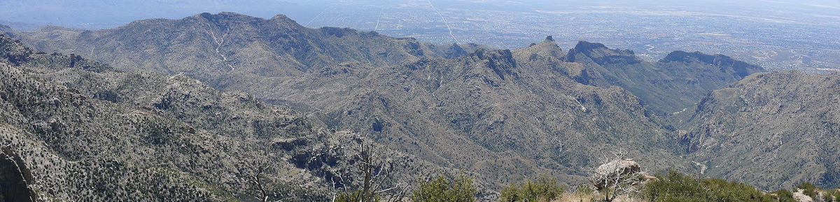 2008 March Box Camp view from the trail