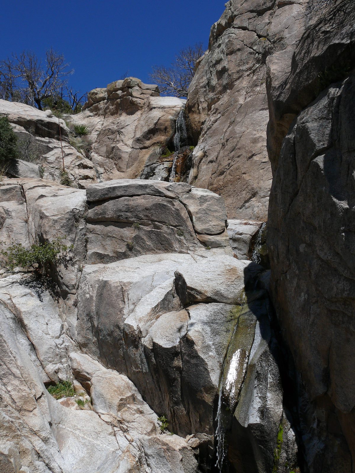 2008 March Falls off Box Camp Trail