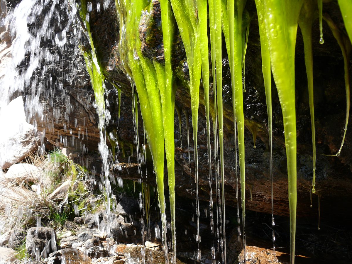 2008 March Molino Area Slimecicle