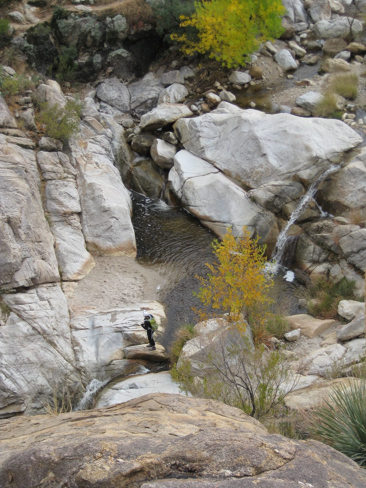 2008 November ADT in the Romero Pools Area