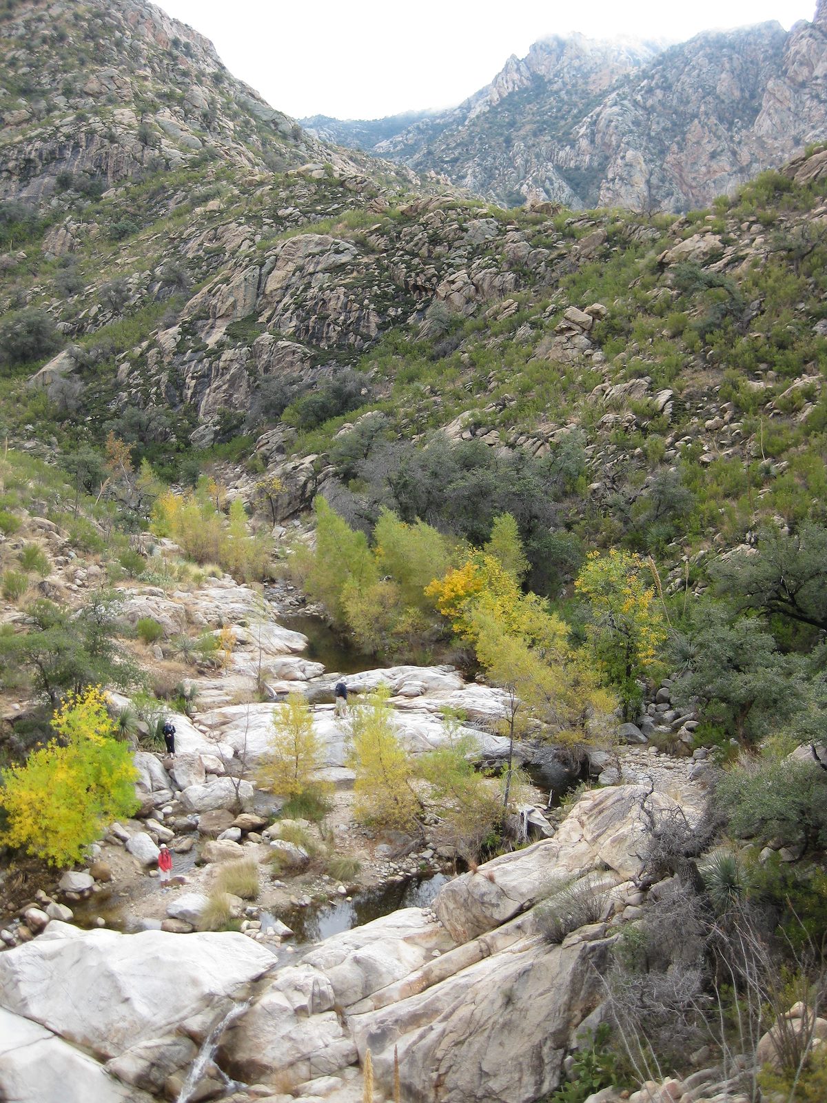 2008 November Romero Pools From Above
