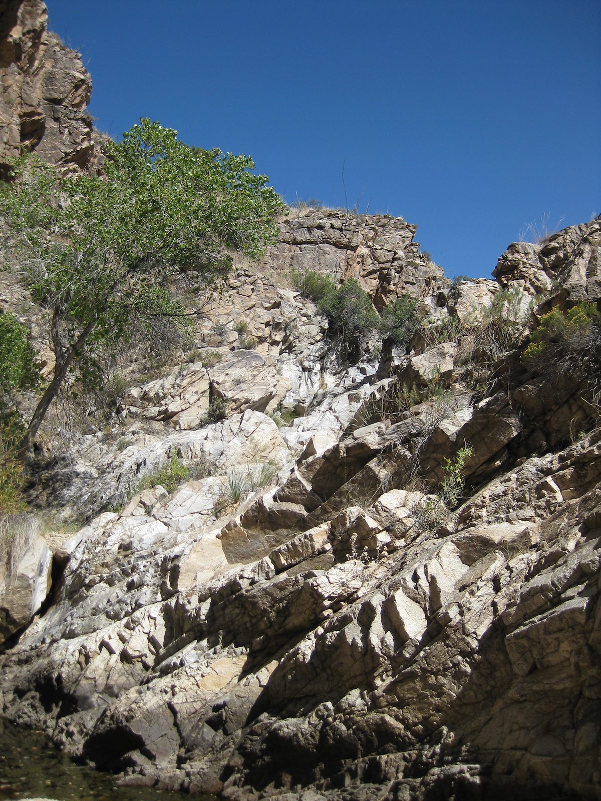 2008 October Milagrosa Below Trail Crossing