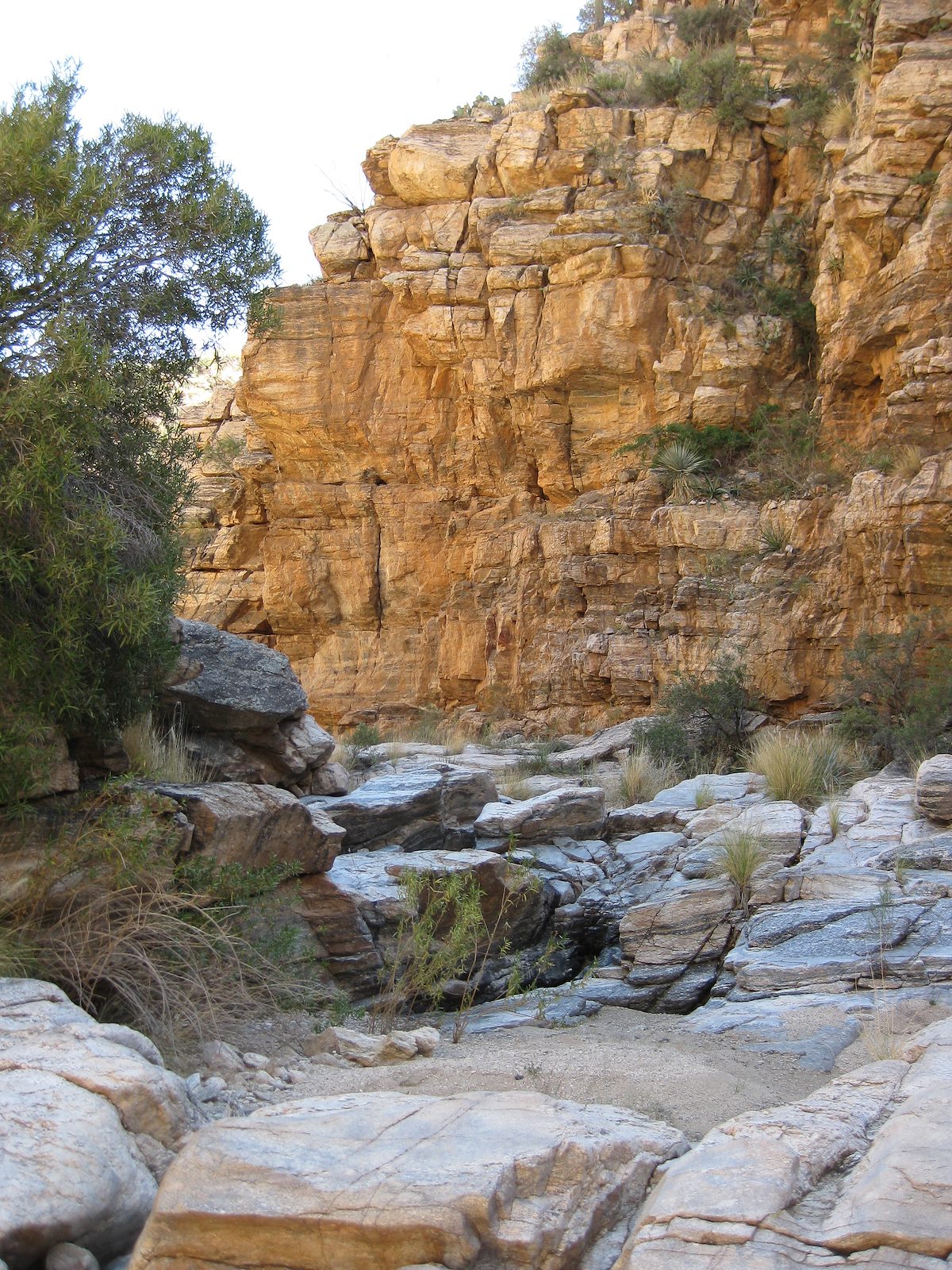 2008 October Milagrosa Canyon Wall