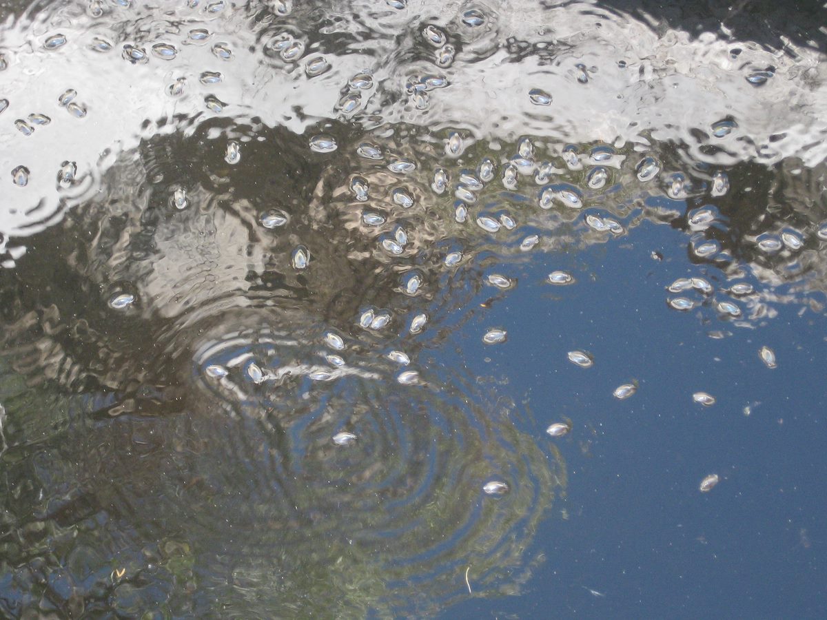 2008 October Milagrosa Pool