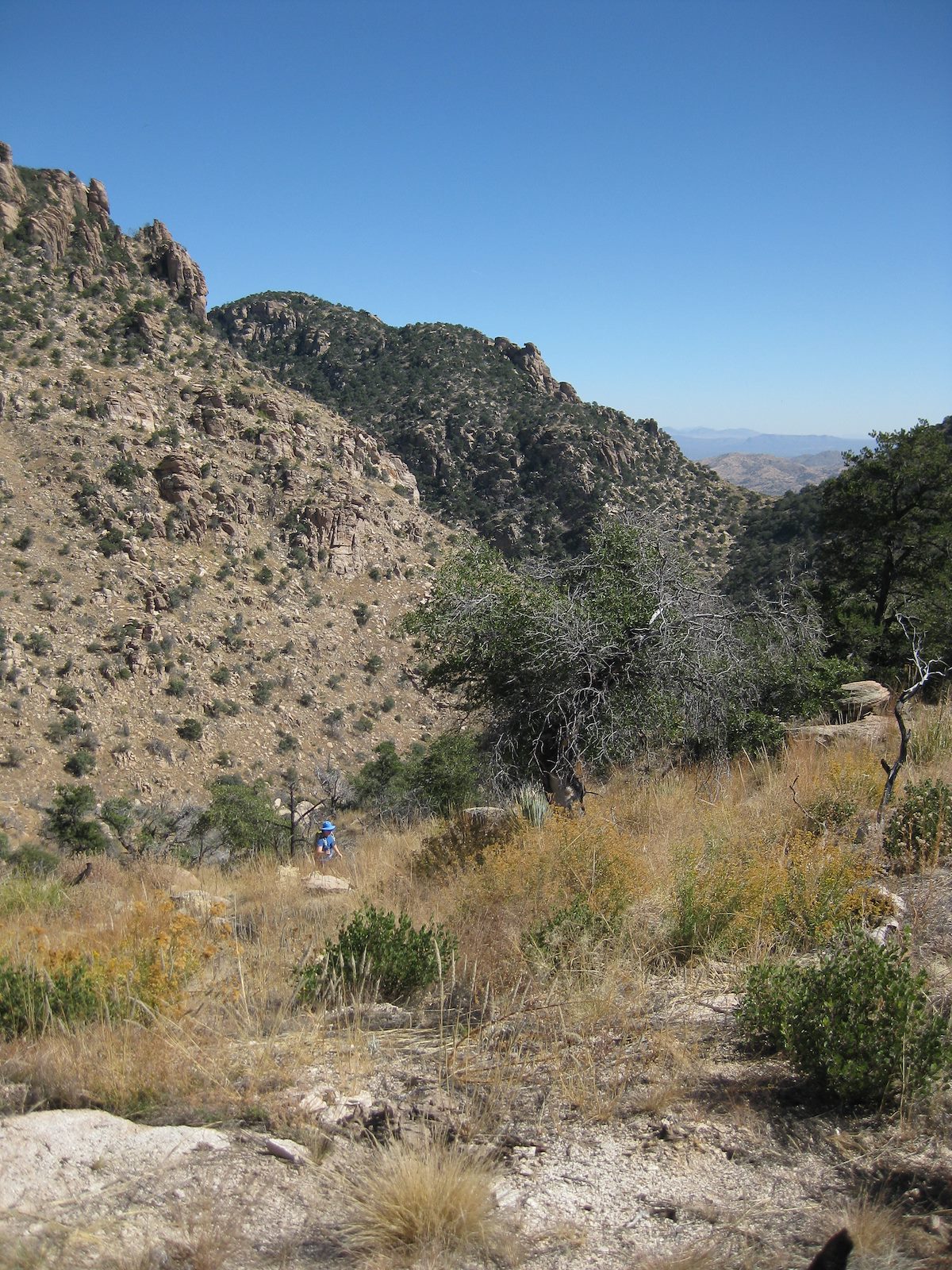 2008 October Molino Area Heading up to the Ridge