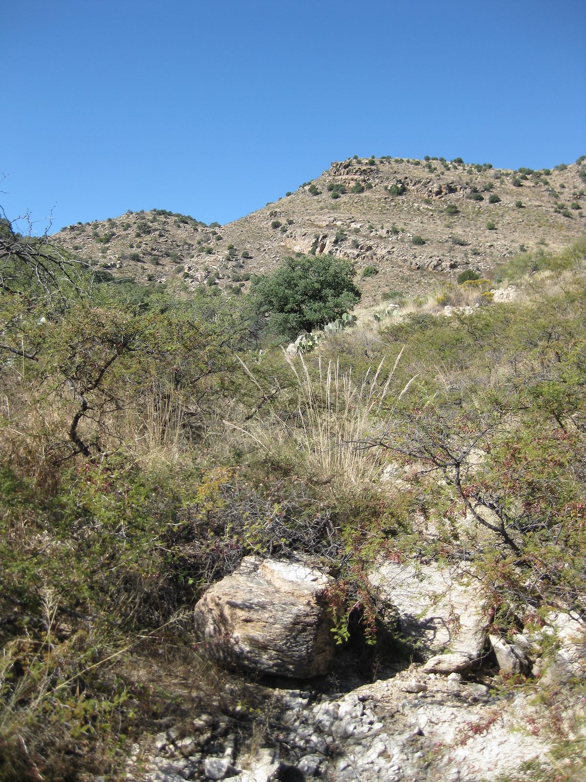 2008 October Wash Leading into Milagrosa