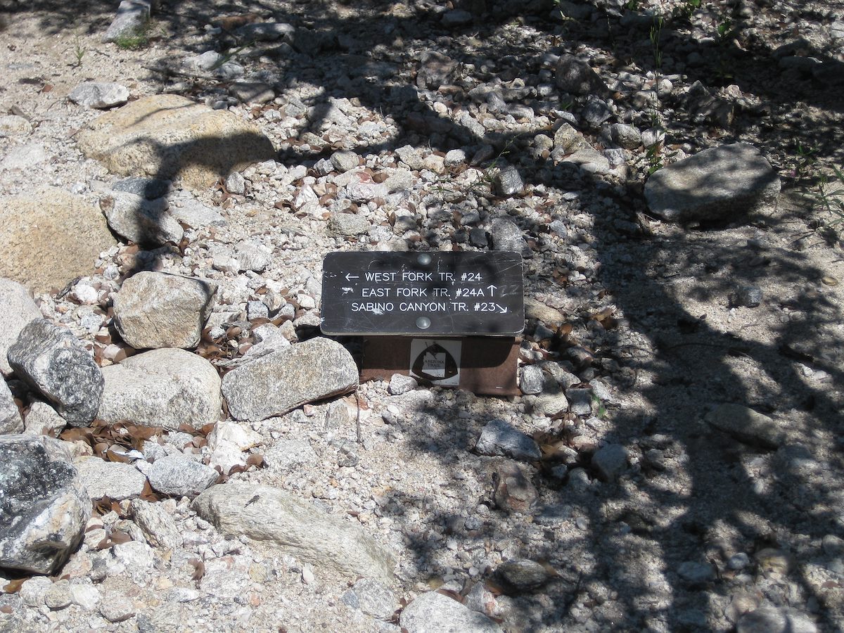 2008 September Sabino Canyon Buried Trail Sign