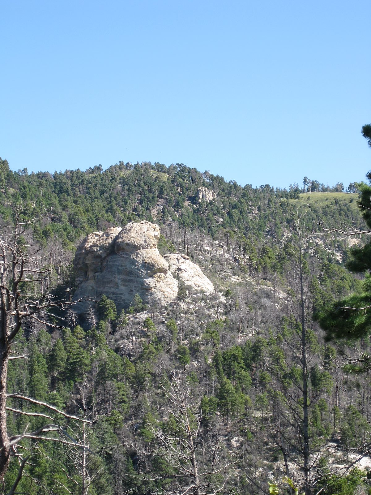 2008 September The Druid from the Palisade Trail