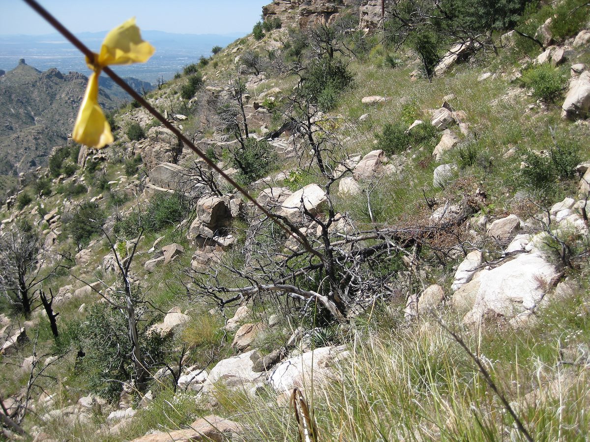 2008 September Wire Crossing the Palisade Trail