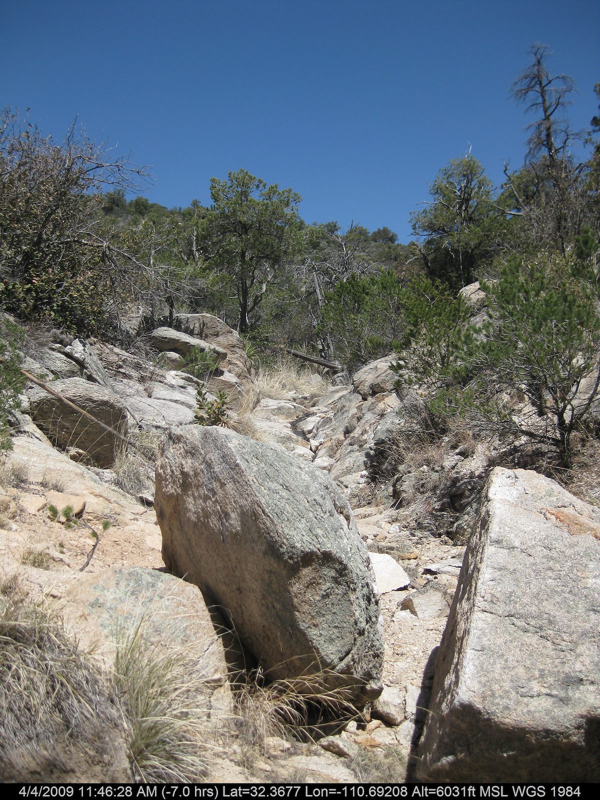 2009 April Classic Catalina Drainage