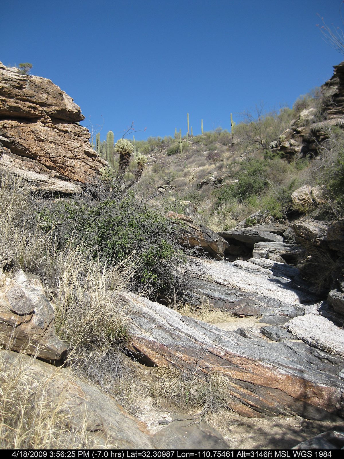 2009 April Drainage to the East