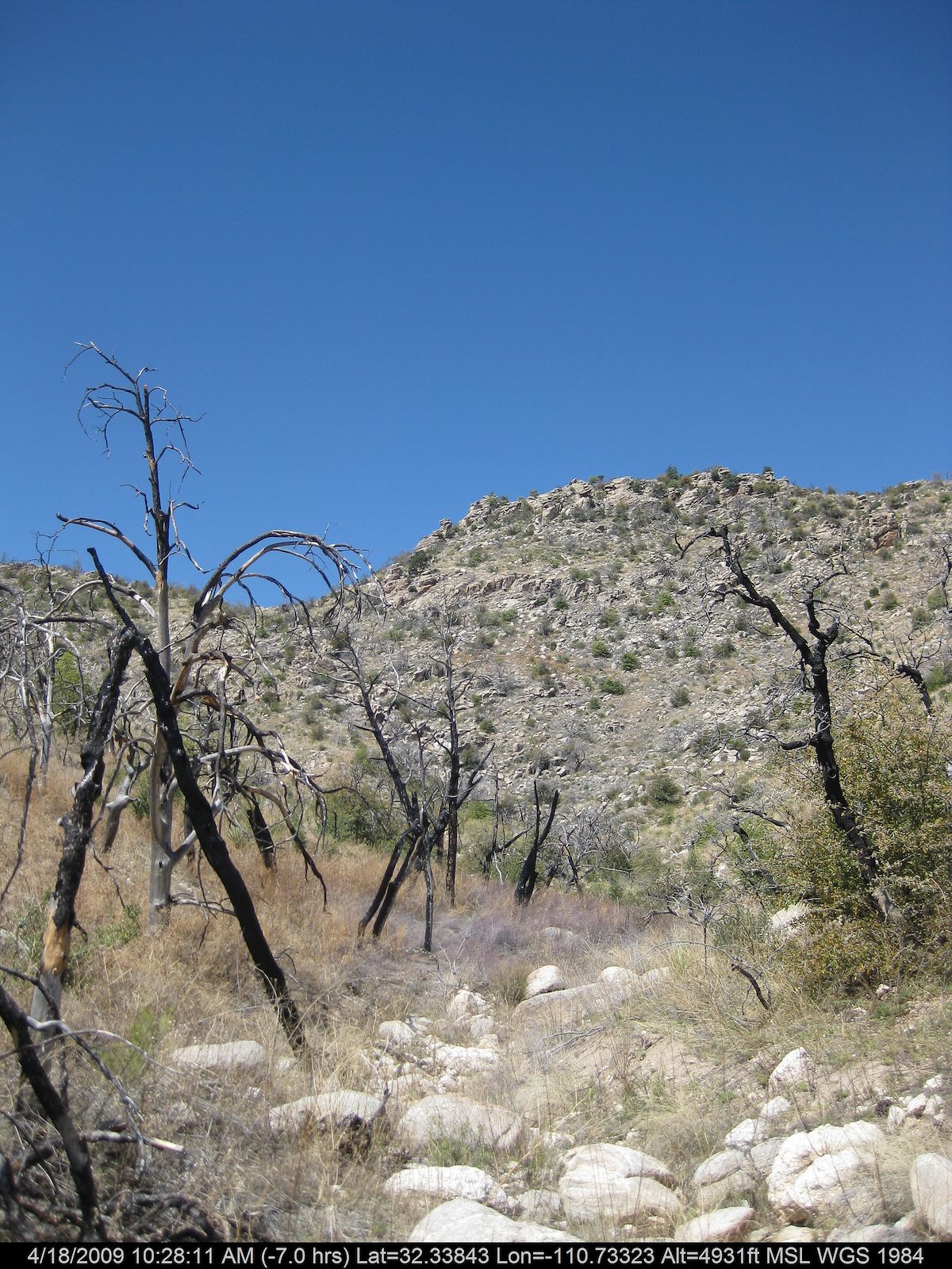 2009 April First Ridge