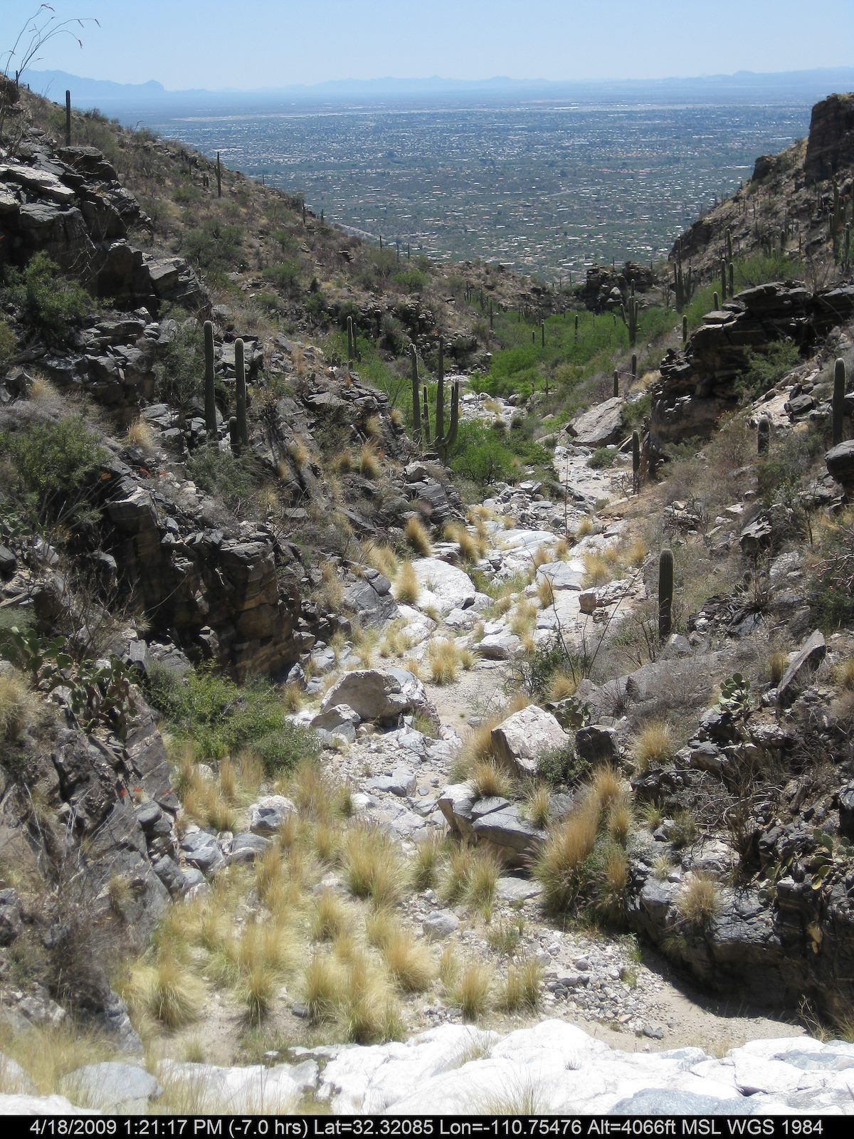 2009 April Looking down canyon into Tucson