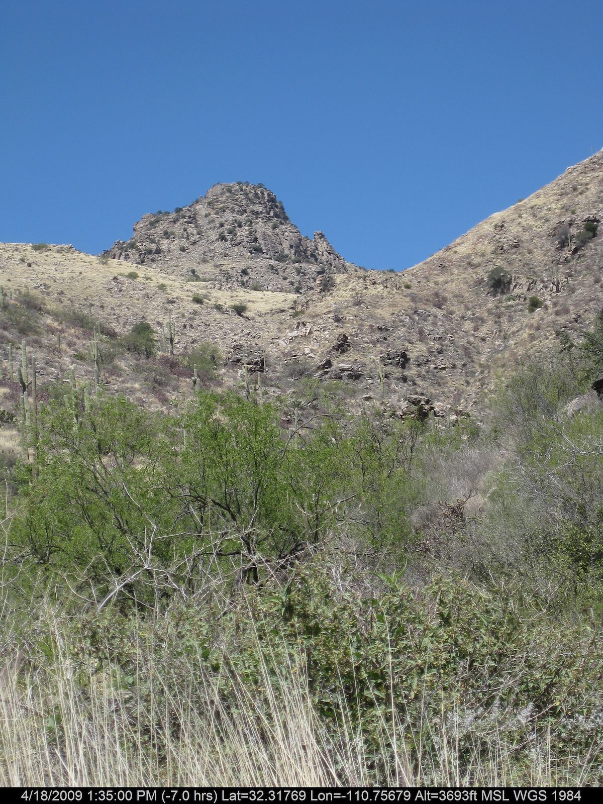 2009 April Looking up canyon