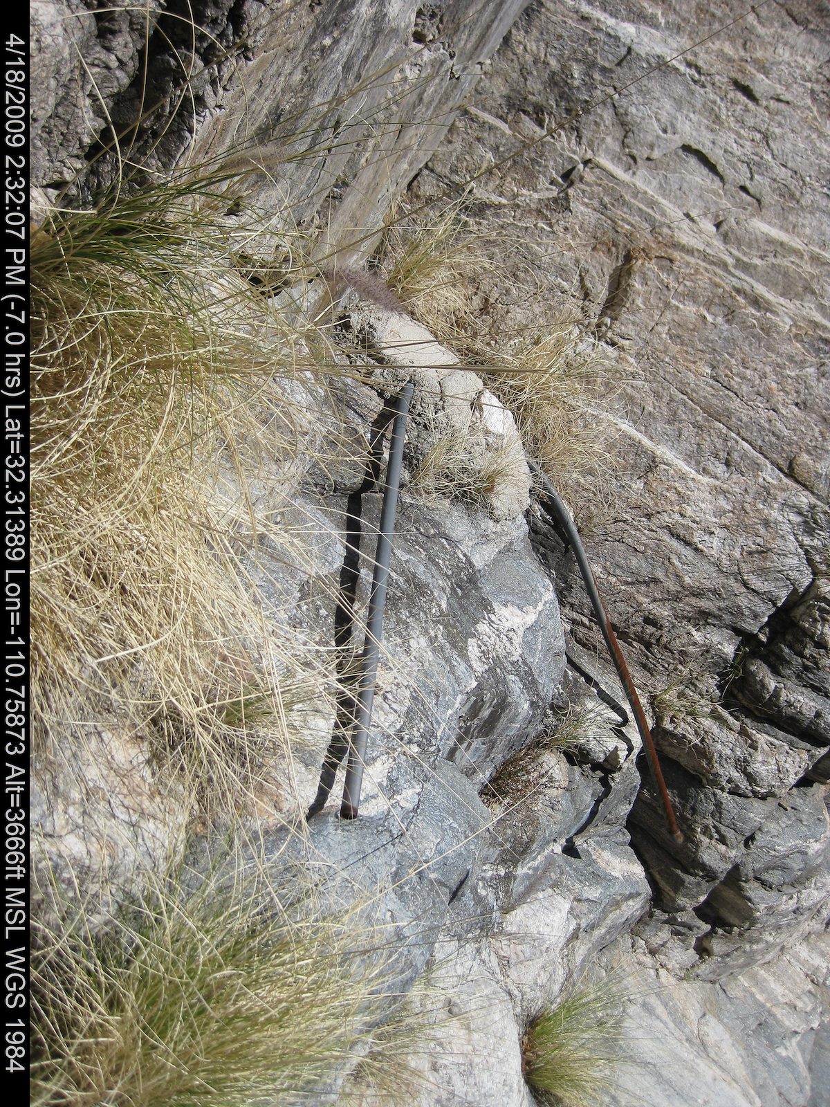 2009 April Pipes for the old tank