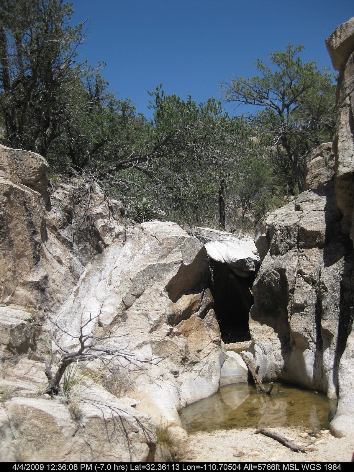2009 April Small Pool