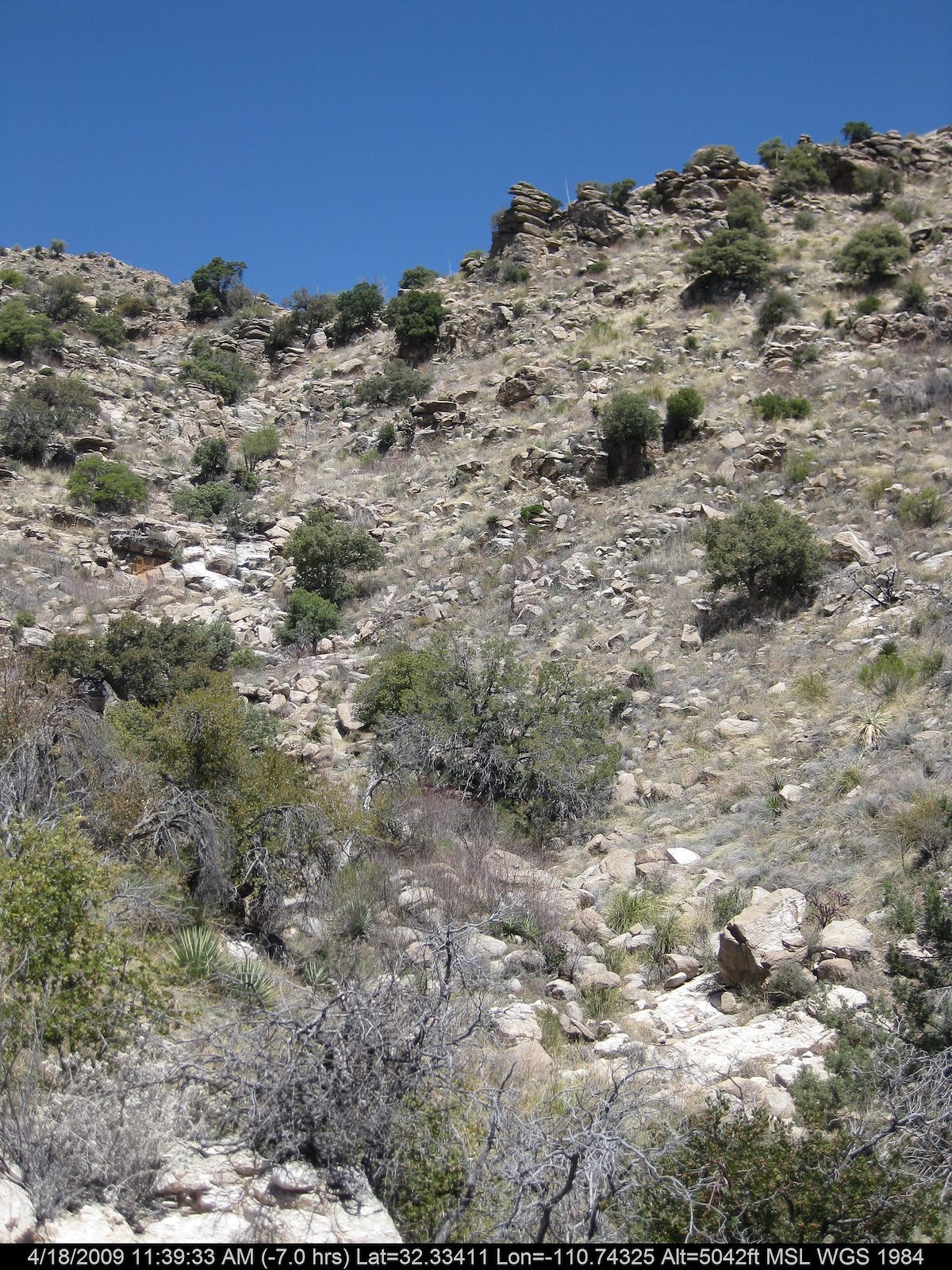 2009 April Start of the Canyon