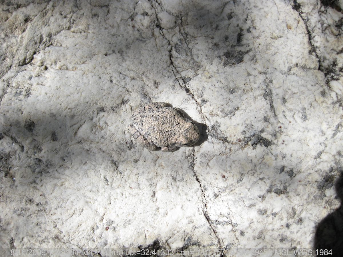 2009 August Canyon Friend