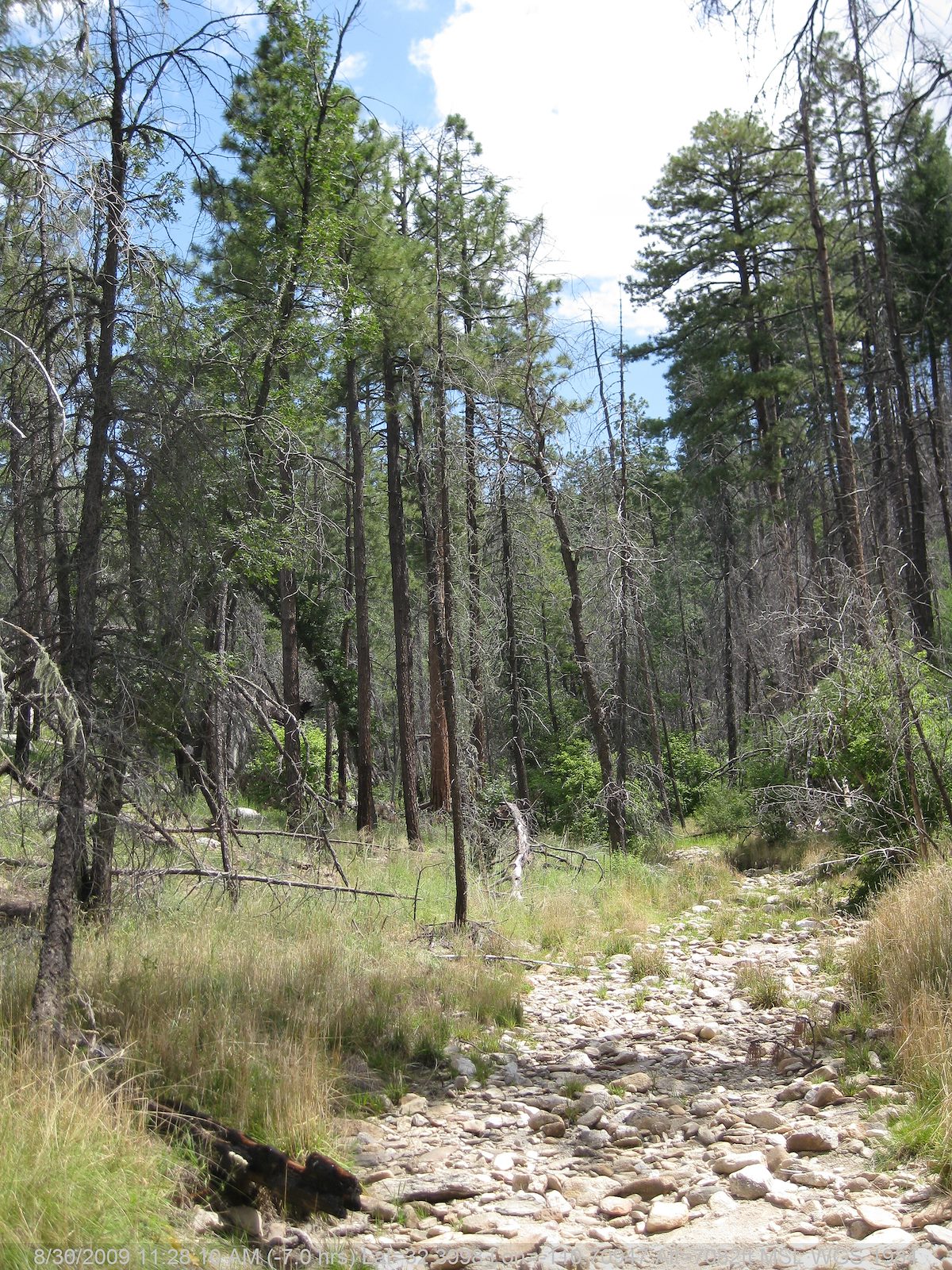 2009 August Canyon opening up