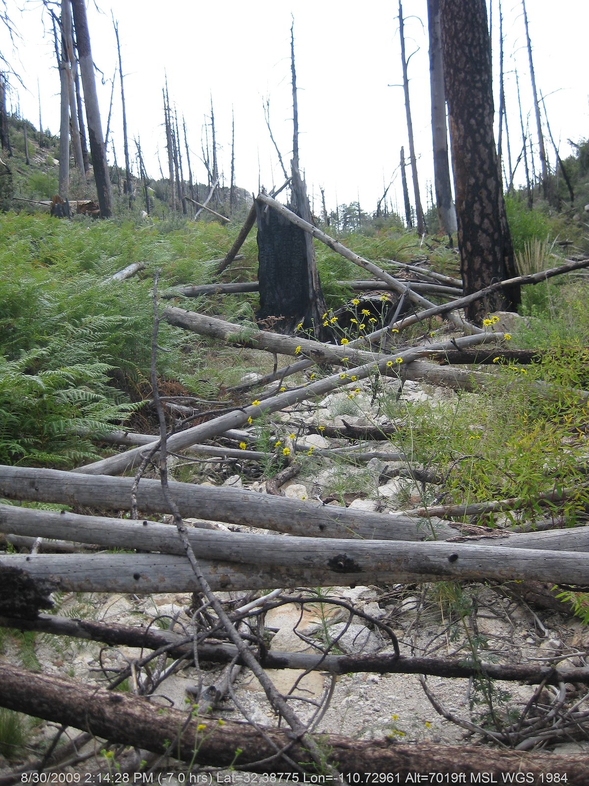 2009 August Heading towards Pine Canyon