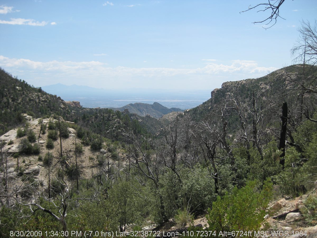 2009 August Looking towards Tucson