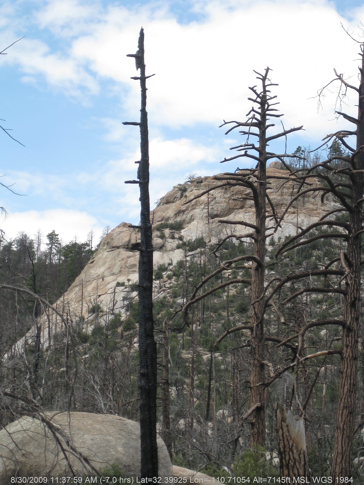 2009 August Tall Wall on the left