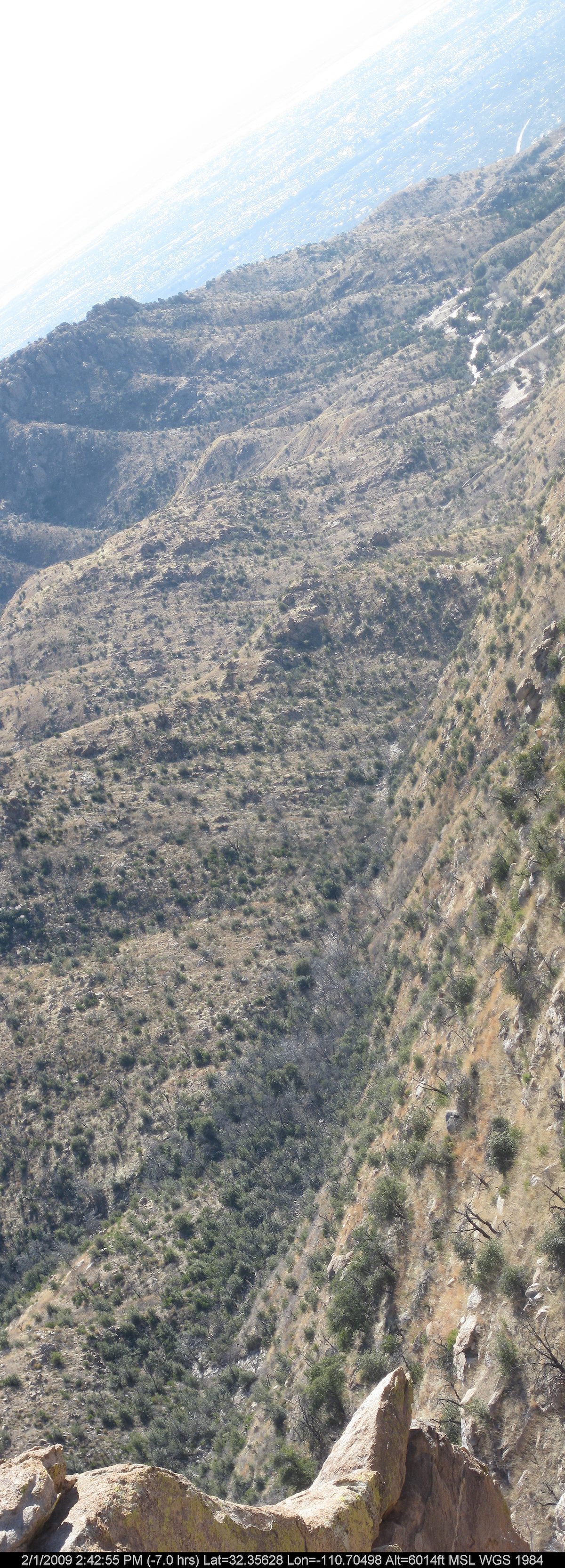 2009 February Bug Spring To Prison Camp