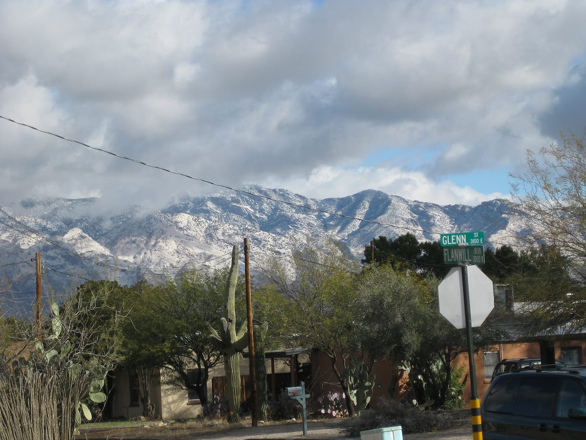 2009 February Snow on the Catalinas