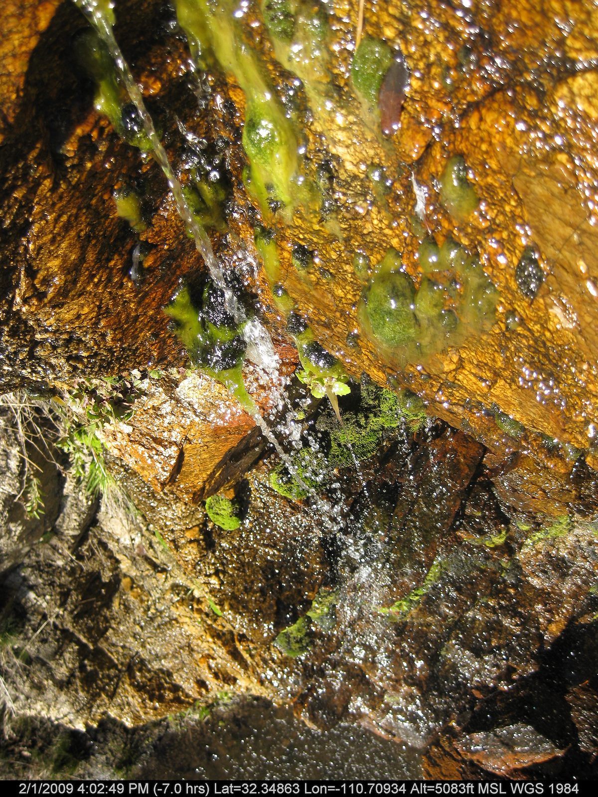 2009 February Spill below Bug Springs